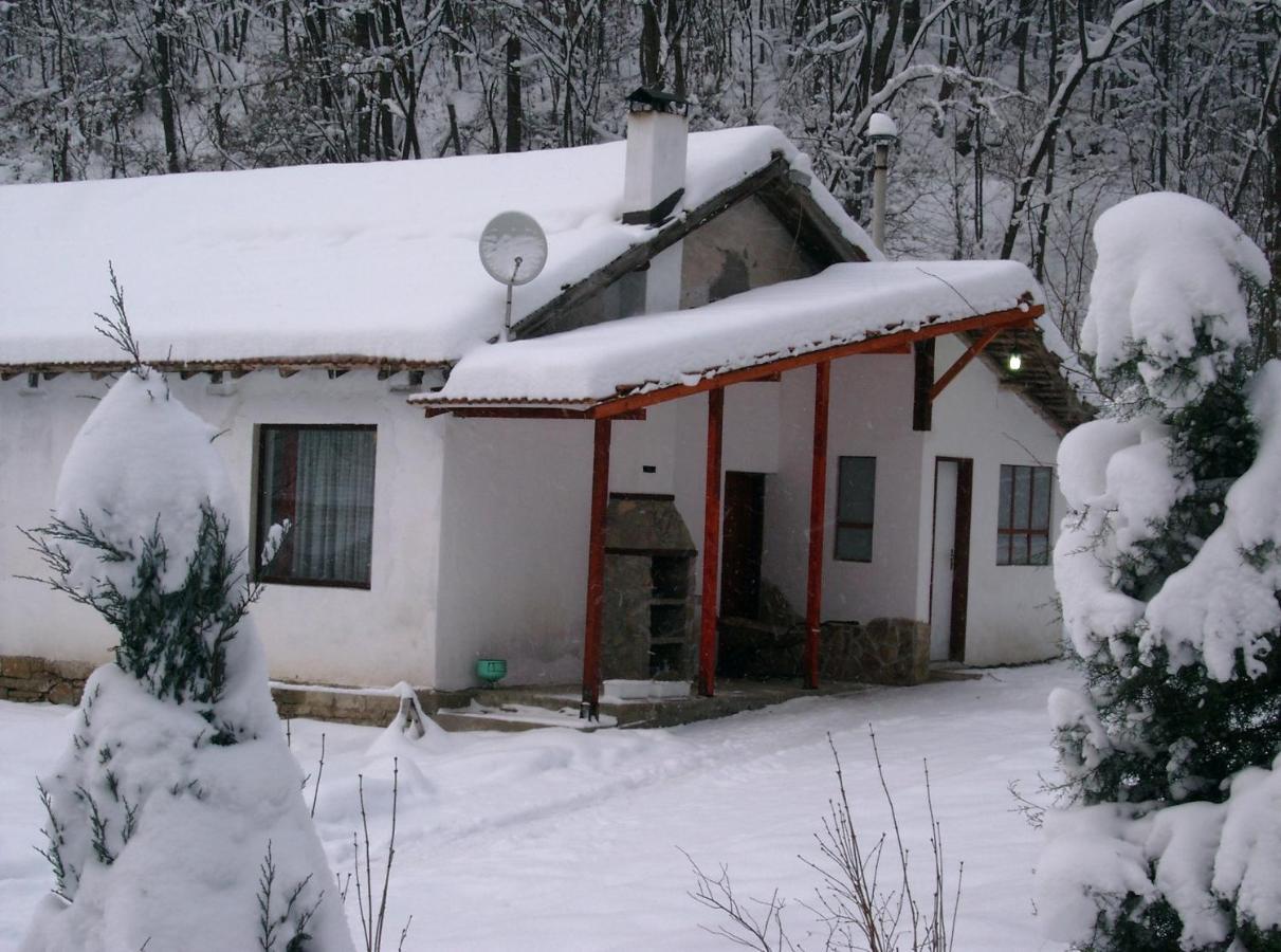 Holiday Home Tanevi Triavna Exterior foto